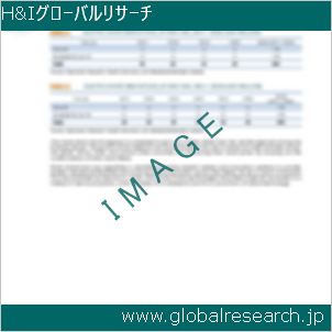 グローバルリサーチ調査レポートのイメージ